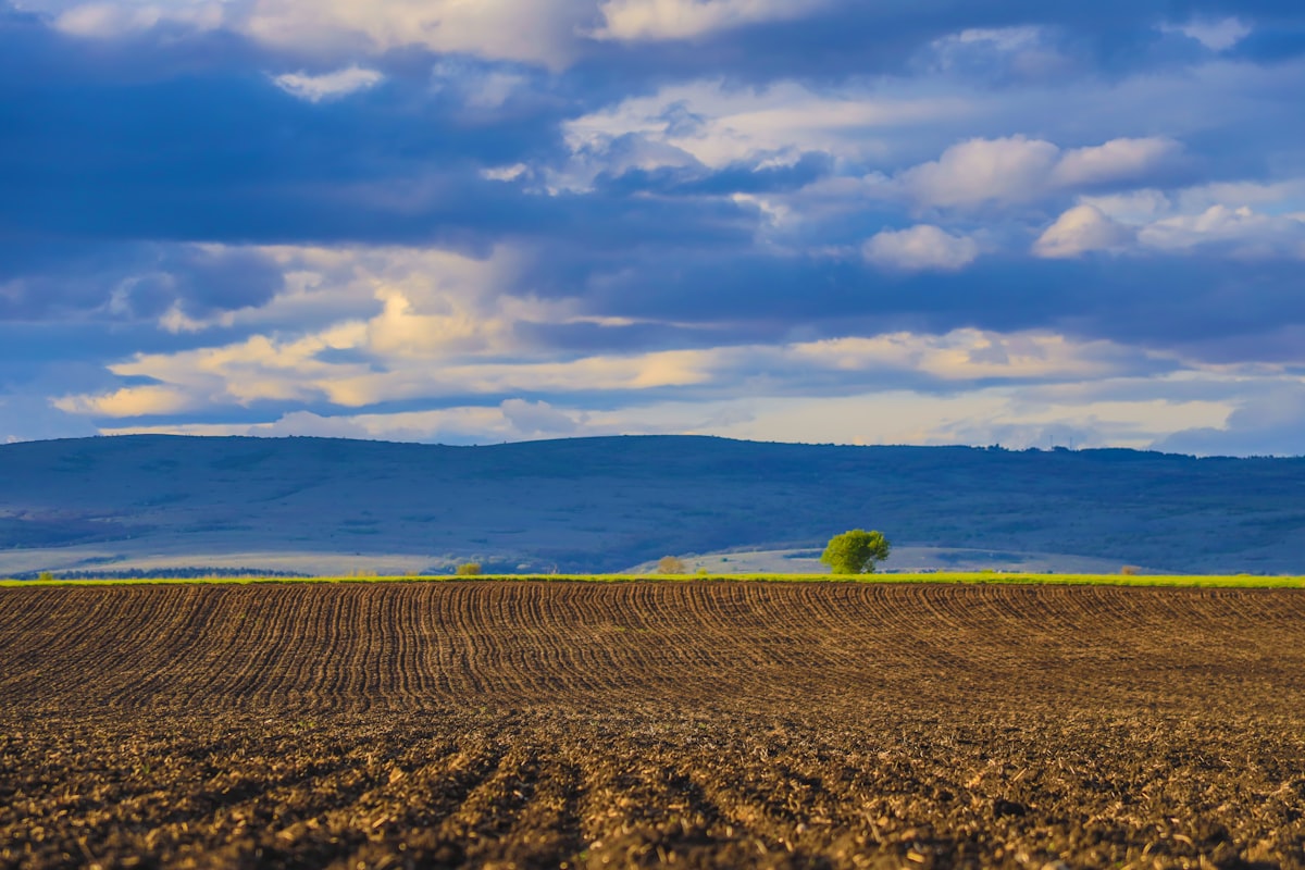 Property Development Scotland: A Practical Guide to the Central Belt