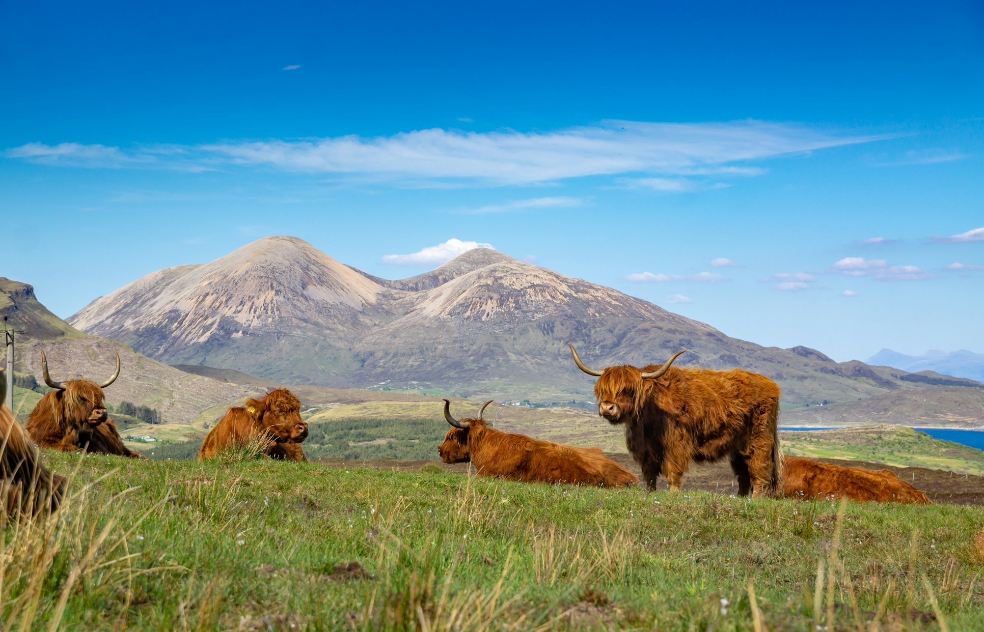 Scottish landscape and rural property location