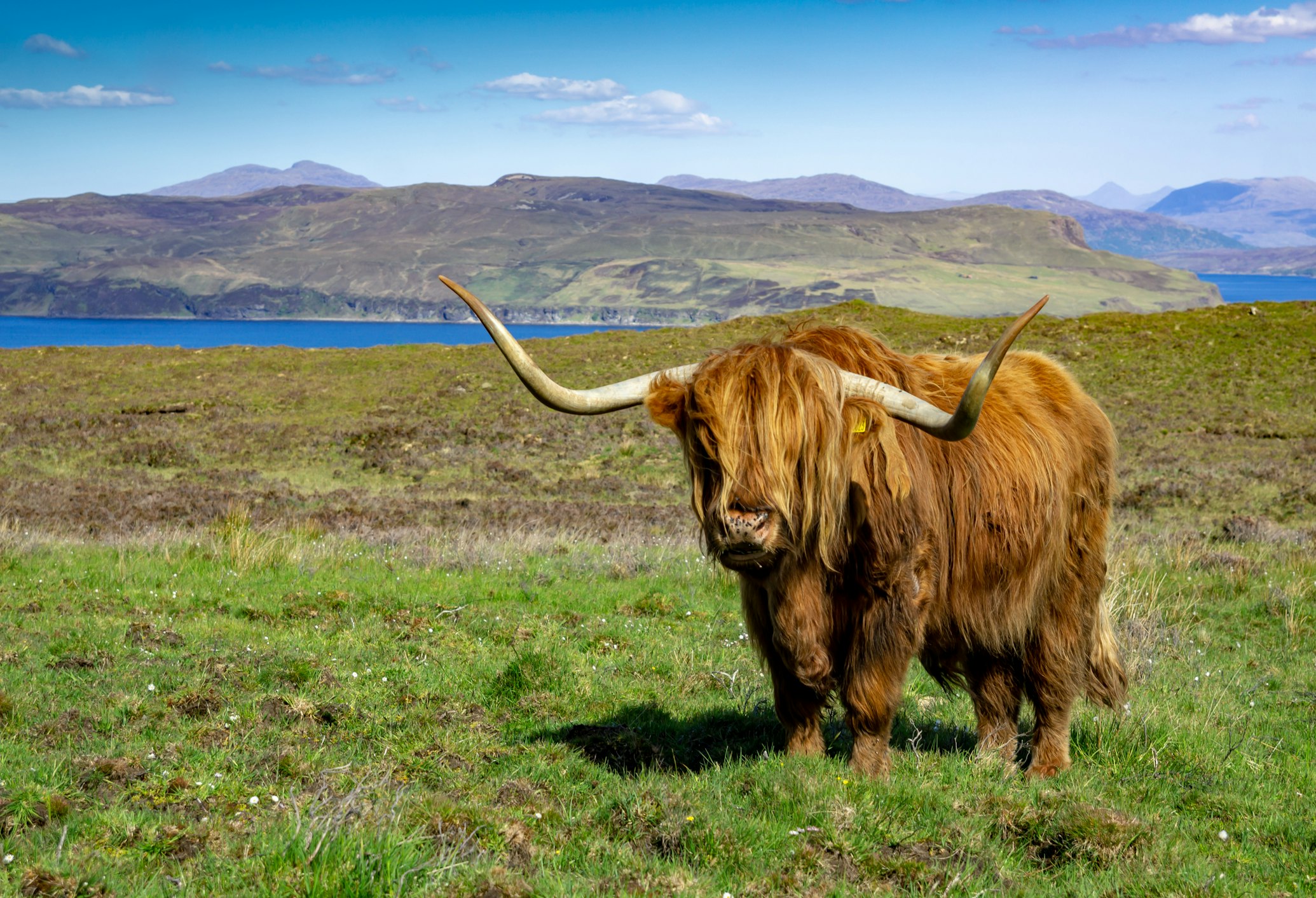 Scottish landscape and rural property location